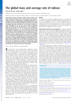 The global mass and average rate of rubisco