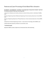 Femtosecond laser processing of ceria-based micro actuators