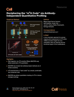 Deciphering the "m6A Code" via Antibody-Independent Quantitative Profiling