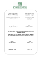 DAP5 dual role in translation control during human embryonic stem cells differentiation